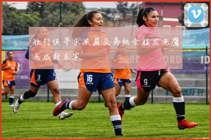 独行侠寻求浓眉交易机会猛龙老鹰或成新东家